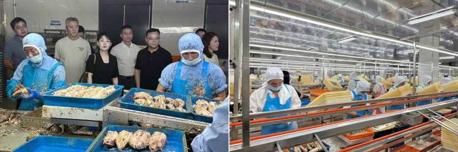 1760080341787104McEJ.jpg 图5_副本_副本.jpg